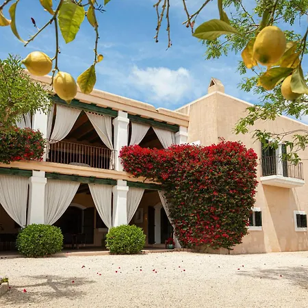 Villa Vicent Rafal